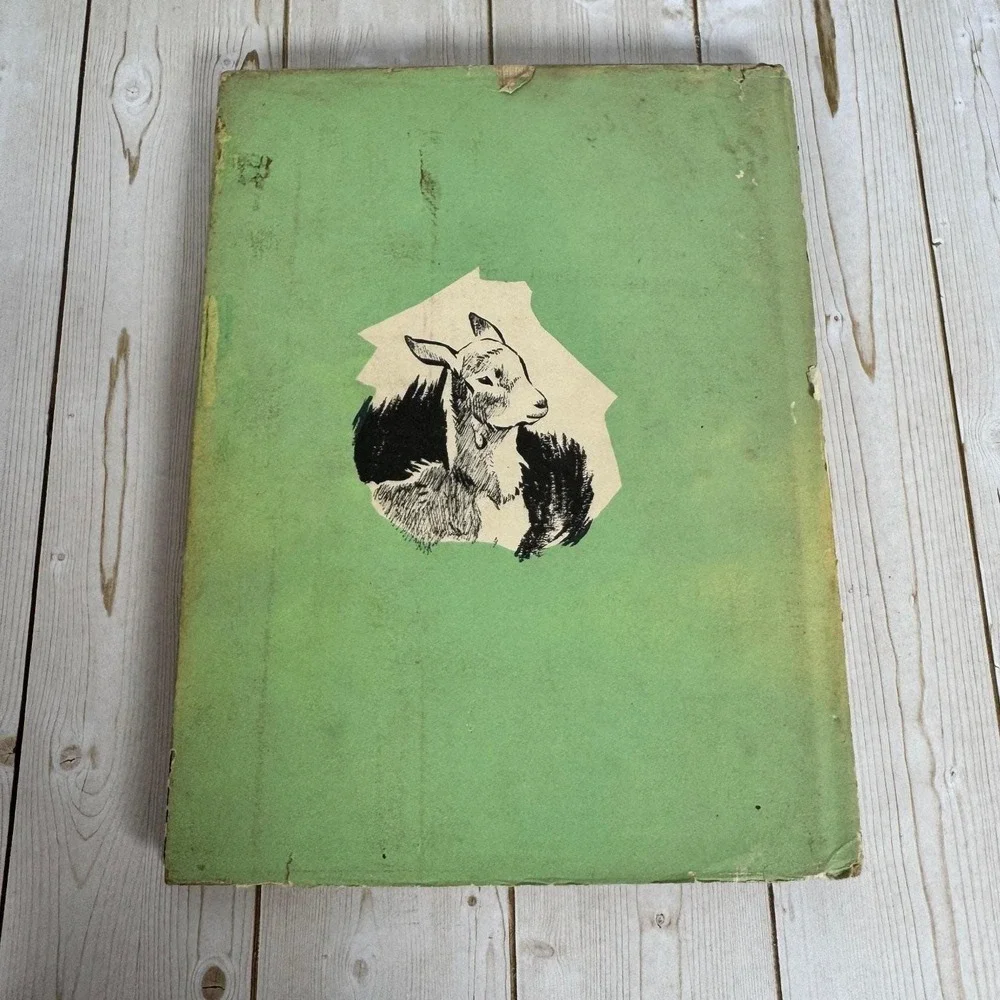 Hoppity Miriam E. Mason 1947 First Printing Illustrated Macmillan Children's
